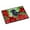 Multicolored, variant on Carolines Treasures CK1308MAT Giant Schnauzer Poinsettas Door Mat Indoor Rug or Outdoor Welcome Mat 18x27 Doormat 27"L