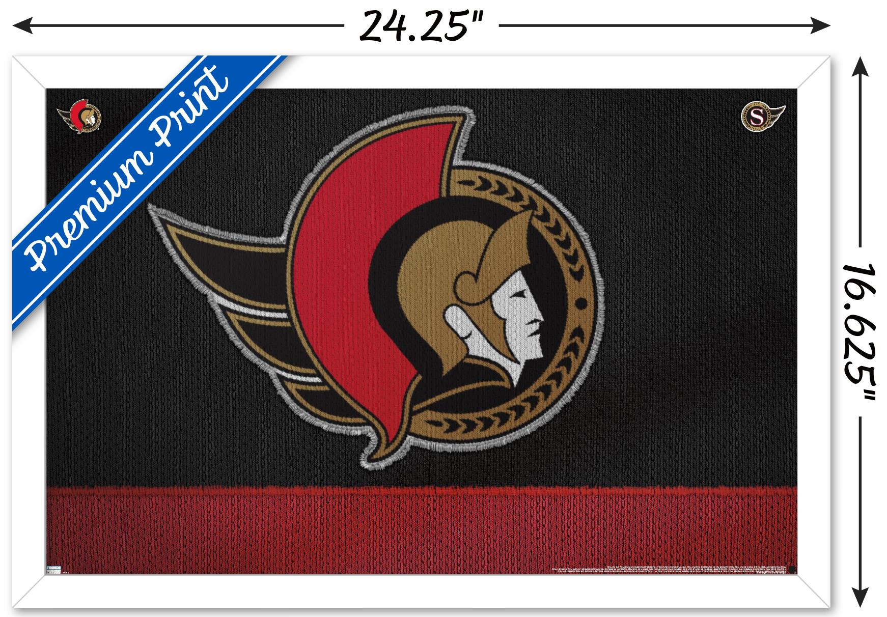 NHL Ottawa Senators - Logo 20 Wall Poster, 14.725" x 22.375", Framed