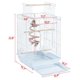 thumbnail image 3 of Wangone Open Play Top Travel Bird Cage for Conure Sun Parakeet Green Cheek Conure Lovebird Budgie Finch Canary, Small-Size Portable, 3 of 4