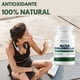 thumbnail image 5 of Alga Chlorella Orgánica 500mg - 100 Cápsula - Pullulan Orgánica - Ingredientes Naturales, 5 of 7