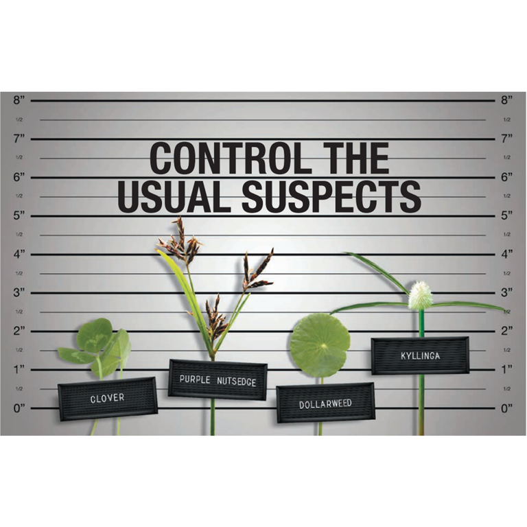 Recognition Herbicide - Controls 40+ Weeds in Turf Grass - 1.95 oz Bottle  by Syngenta - Walmart.com
