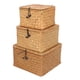 thumbnail image 1 of GOOHOCHY Cesta de almacenamiento tejido de 3pcs Productos de maquillaje portátil Ceta de almacenamiento Caja de ropa, 1 of 8