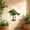 Green, variant on Iron Peacock Decor for Living Room Balcony, Rust Proof Metal Sculpture for Courtyard Terrace, Vintage Garden Home Ornament 6.1x7.1in