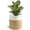 Jute Mixed White, variant on RibRave Sturdy Jute Rope Plant Basket Modern Woven Basket up to 7.5 Inch Flower Pot Floor Indoor Planters, 8” x 8” Storage Organizer Baskets Rustic Home Decor, Black Stripes