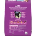 thumbnail image 3 of IAMS Proactive Health Adult Dry Dog Food, Large Breed Senior Dog Food, 30 lb. Bag, 3 of 11