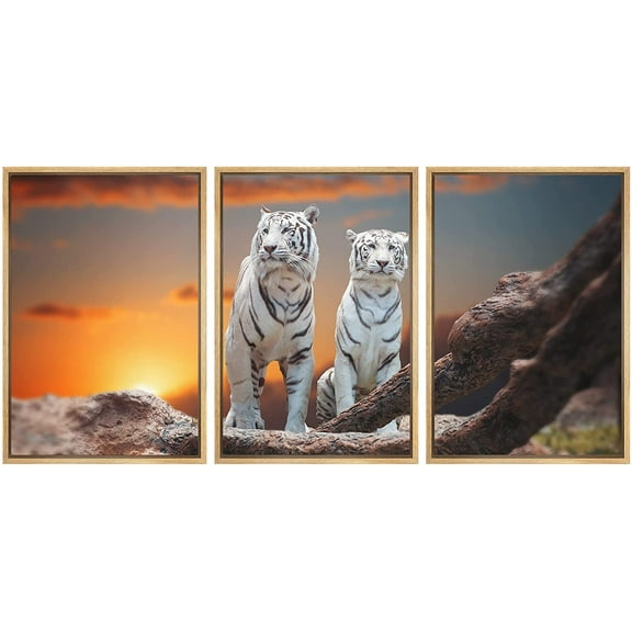 wall26 - 3 Panel Framed Canvas Wall Art - Two White Tigers at Sunset Time - Giclee Print Gallery Wrap Modern Home Art Ready to Hang - 24"x36"x3 NATURAL