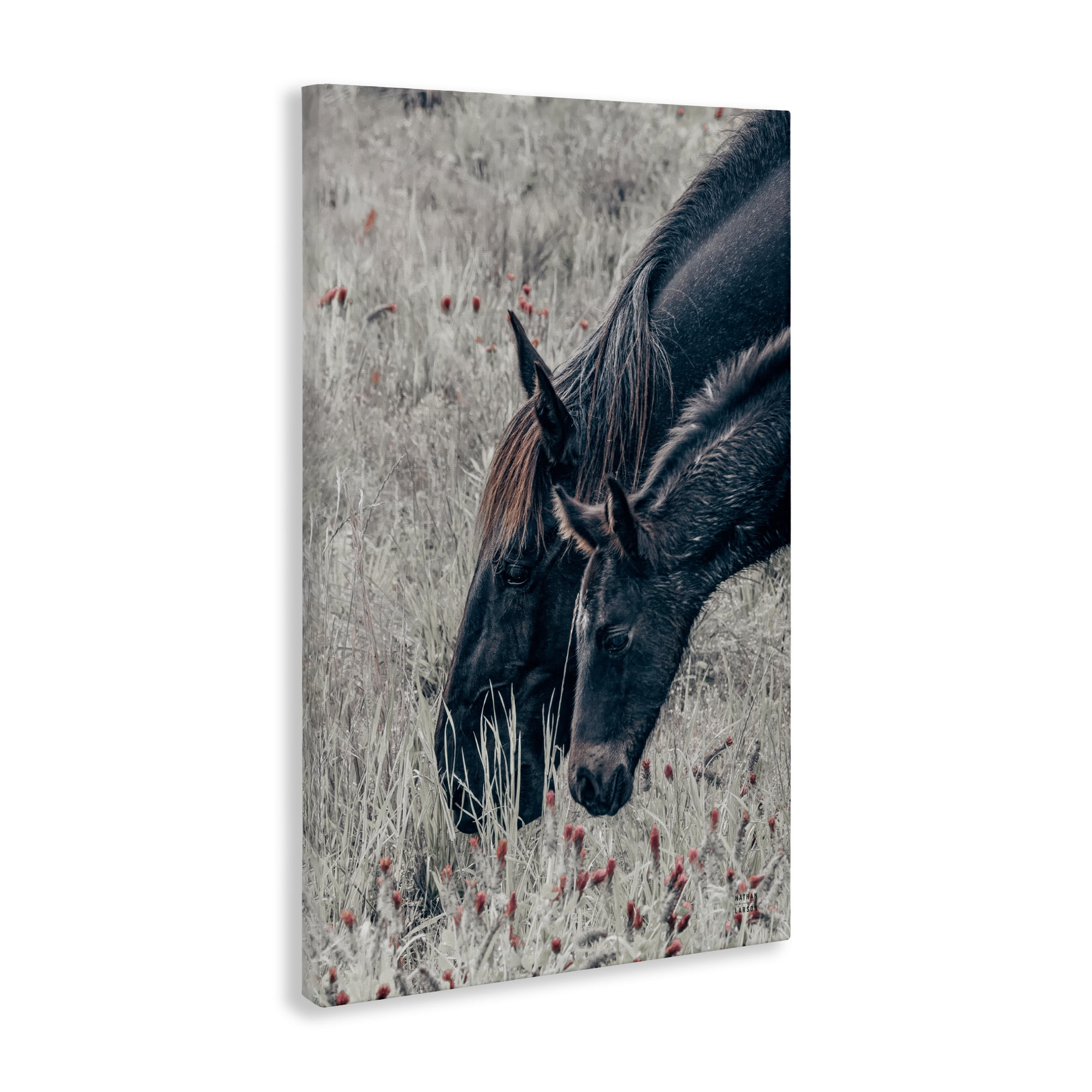 Stupell Industries New Graze Horses in Meadow Canvas Wall Art, design by Nathan Larson