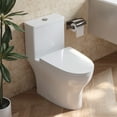 thumbnail image 2 of DV-1F0073 Ally Bathroom Toielt, One-Piece Toielt Dual-Flush Elongated Floor Mounted Toilet with White Glazed Surface(Seat Included), 2 of 13