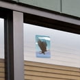 thumbnail image 5 of Bald Eagle Flying Home Business Office Sign, 5 of 6