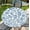 A-blue and White Flower, variant on Round Tablecloth with Elastic Edge, 36-60Inch Waterproof Table Cloth for Dinner, Outdoor, Picnic, 44inch, Sunflower and Butterfly