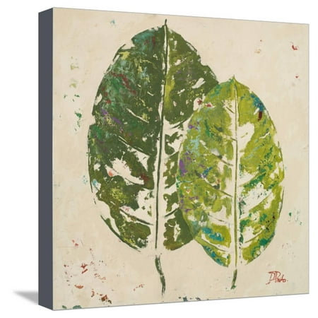 Pinto Nero 1 Light - The Green Ones II Stretched Canvas Print Wall Art By Patricia Pinto