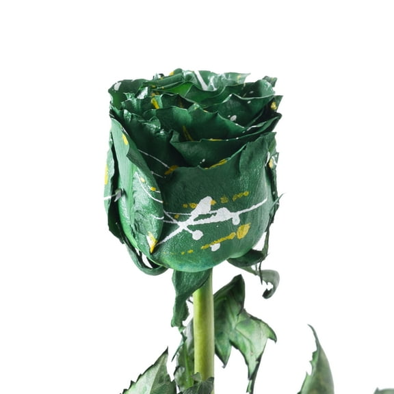 Painted Zelda Confetti Roses 50 cm - Fresh Cut - 50 Stems