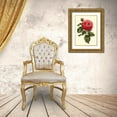 thumbnail image 3 of Van Houtte 19x24 Gold Ornate Wood Framed with Double Matting Museum Art Print Titled - Magnificent Rose V, 3 of 4