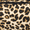 Cheetah, variant on Wonder Nation Kids' Clear Caticorn 17" Backpack, Lunch Tote, Laptop Sleeve and Pouch Set, 4-Piece