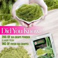 thumbnail image 3 of Longevity Dehydrated Sea Grapes, 4.23 oz of 6 packs, Umibudo Green Caviar, Lato Seaweed, Precious Gift From The Sea | Enhance Health, Boosting Immune System., 3 of 5