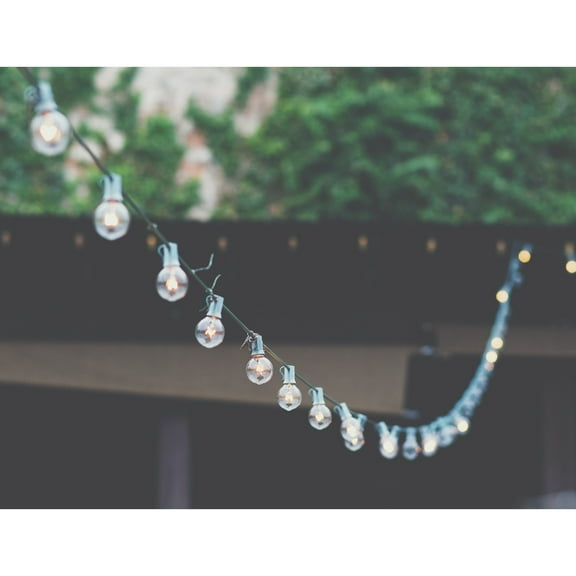 Northlight G50 Globe Christmas String Lights - Clear - 9' Green Wire - 10ct