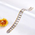 thumbnail image 4 of Bracelets Magnétiques en Acier Titane pour Hommes, 4 Éléments Double Rangée d'Aimants Magnétiques, 4 of 4