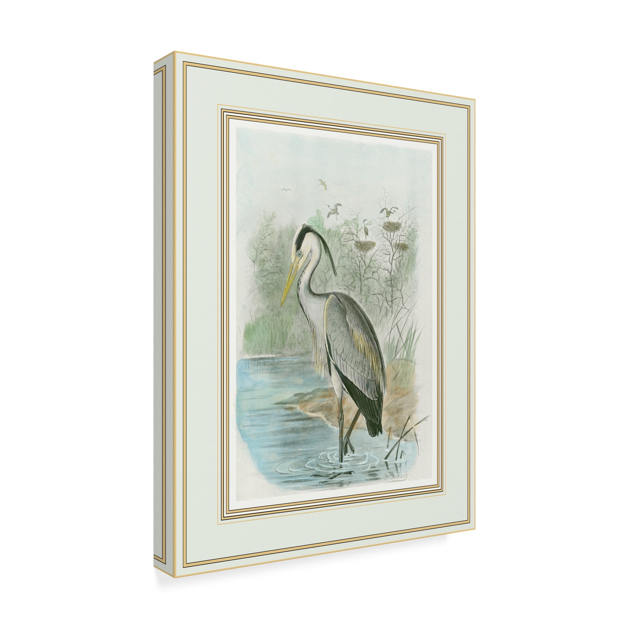 Trademark Fine Art 'Common Heron' Canvas Art by F.W. Frohawk