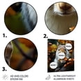 thumbnail image 3 of Designart "White Animal Brown Squirrel I" Animals Squirrel Metal Wall Art Prints, 3 of 5