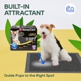 thumbnail image 2 of HONEY CARE All-Absorb Puppy Training Pads | Eliminating Urine Odor, Ultra Charcoal Dog Pee Pad (Carbon, L 22x23 inch, 100ct), 2 of 10