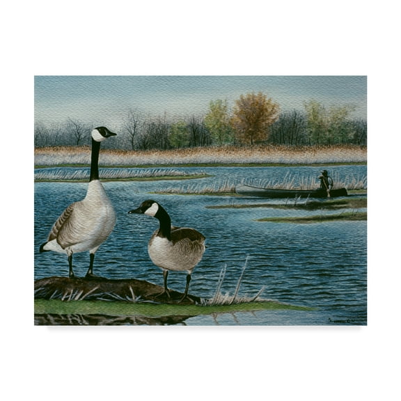Trademark Fine Art 'Gander Study' Canvas Art by Rusty Frentner
