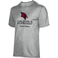 thumbnail image 2 of Men's Gray Saginaw Valley State Cardinals Volleyball Name Drop T-Shirt, 2 of 3
