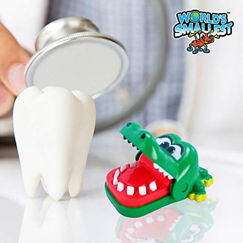 world's smallest crocodile dentist