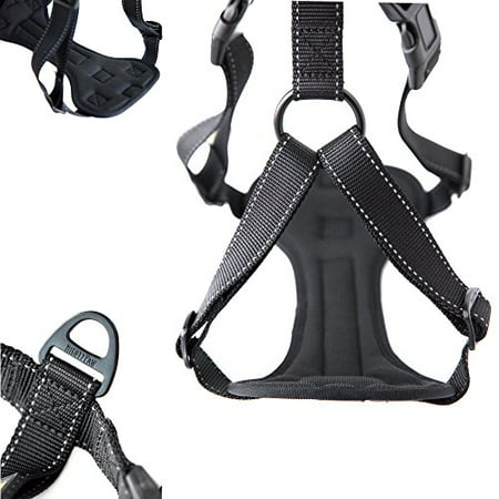 Free Bino Harness Strap (Mighty Paw Vehicle Safety Harness, Car Harness with Adjustable Straps and Soft Padding, Doubles as Dog Walking Harness with Front Range Leash Attachment (Large,)