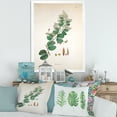 thumbnail image 3 of Designart 'Ancient Botanicals XIII' Farmhouse Framed Art Print, 3 of 4