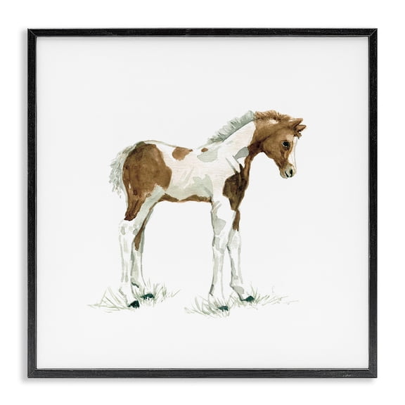 Stupell Industries Rustic Lodge Young Farm Horse Minimal Country Animal over White Black Framed Giclee Art, 12 x 12, by Carol Robinson