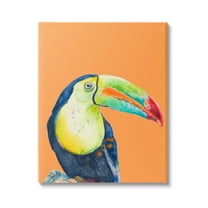 Stupell Industries Tropical Toucan Portrait Vivid Beak Rainforest Bird Graphic Art Gallery Wrapped Canvas Print Wall Art, Design by Patricia Pinto