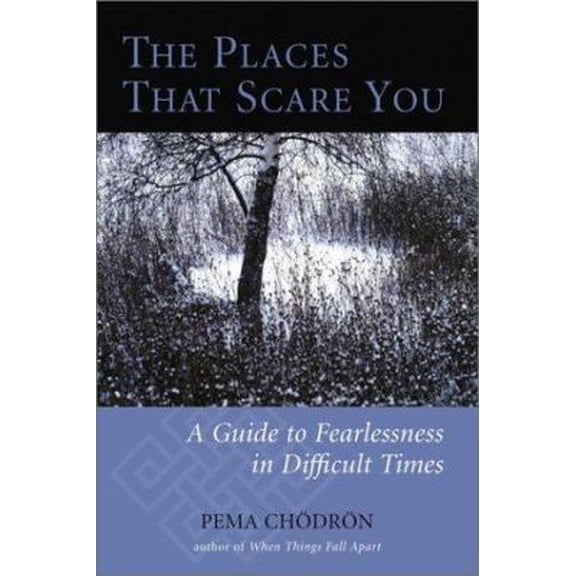 Pre-Owned The Places That Scare You: A Guide to Fearlessness in Difficult Times (Hardcover) 1570624097 9781570624094
