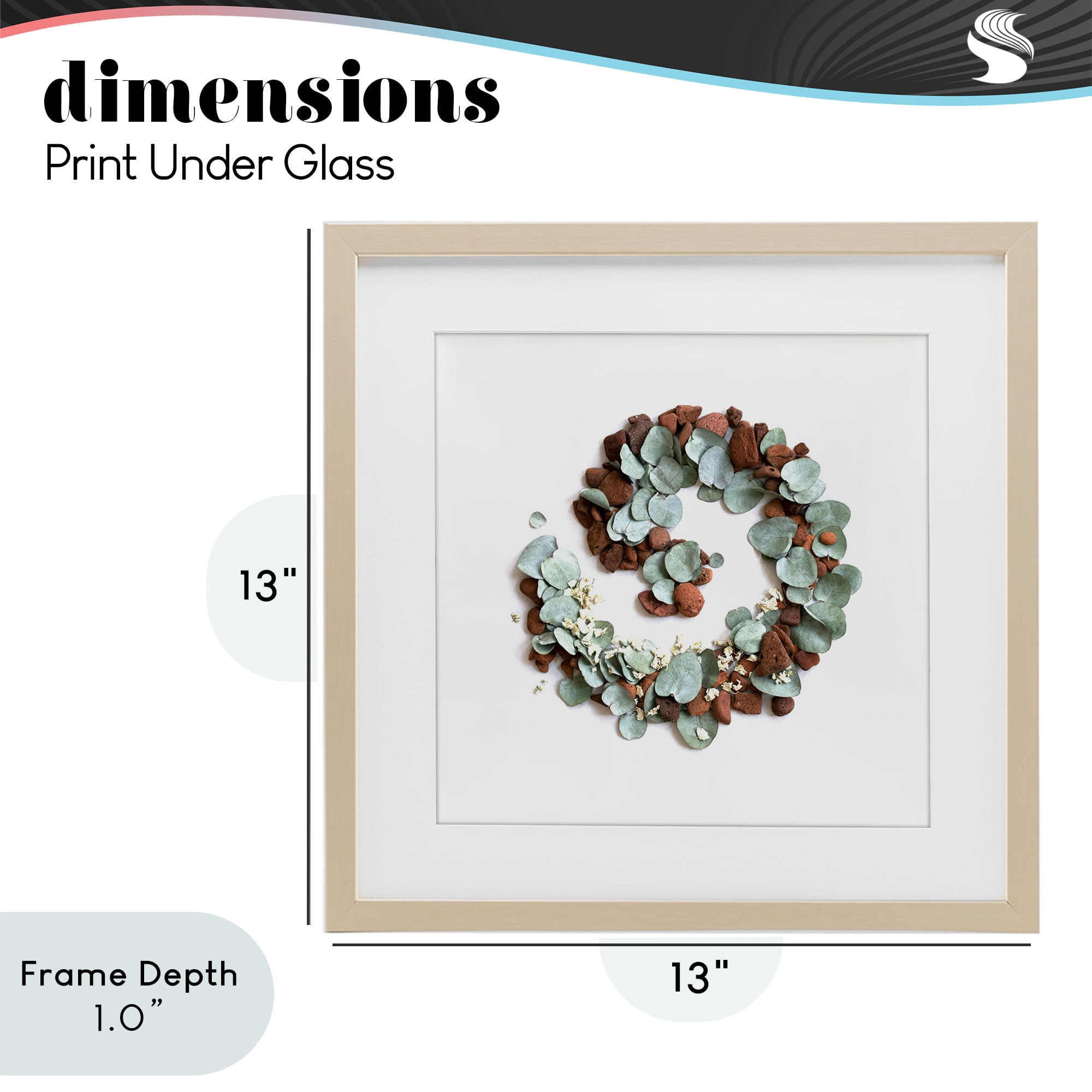 Stupell Industries Eucalyptus & Pebbles Spiral Birch Framed Print Under Glass, design by Beth Adoette