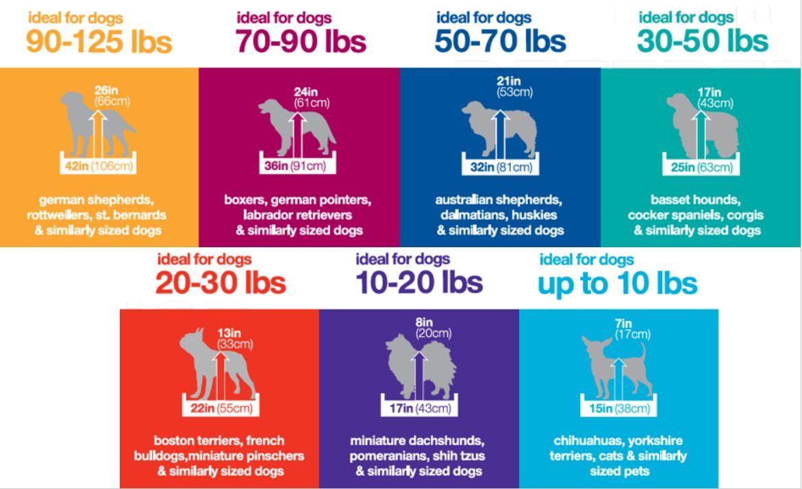 crate size for 20 lb dog