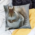 thumbnail image 2 of BANET  in The Snow-Pillow Case 12x12in, 2 of 5