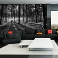 thumbnail image 1 of Tiptophomedecor Landscape Wallpaper Wall Mural - The Light In The Forest, 1 of 4