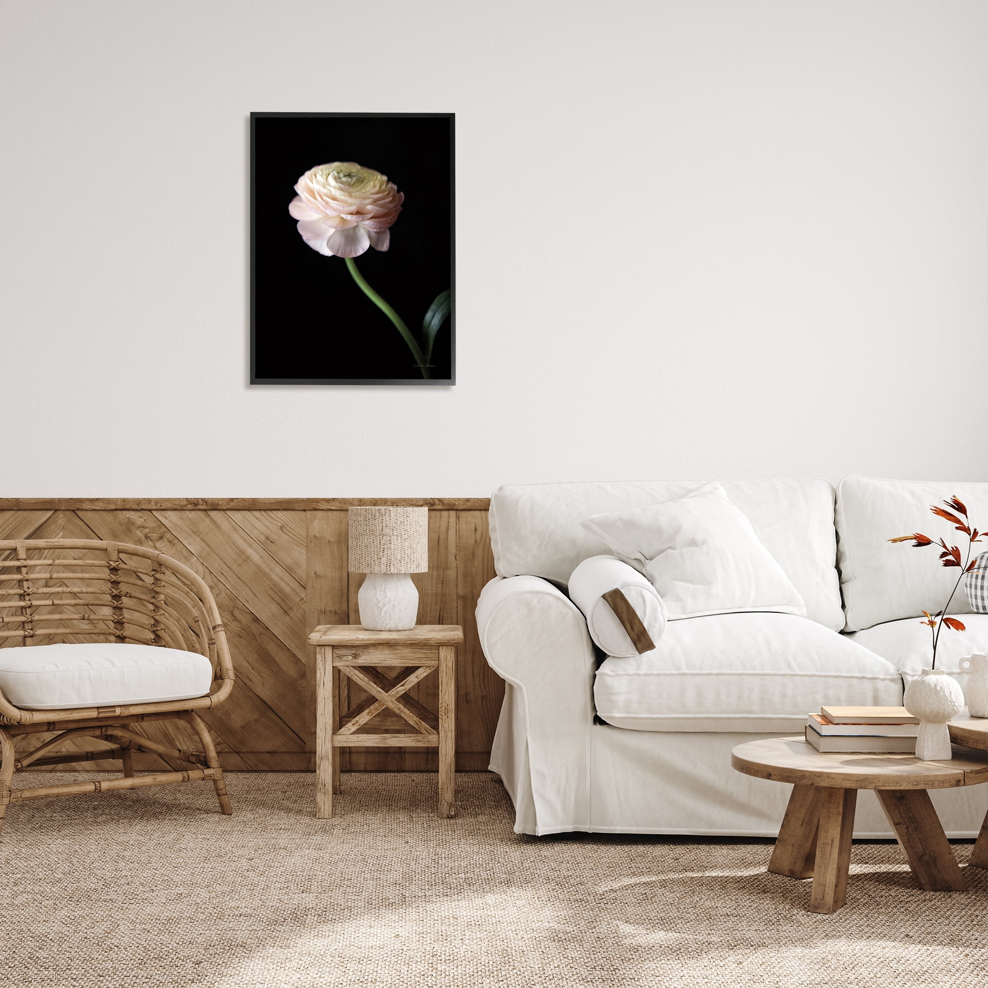 Stupell Industries Ranunculus on Black Botanical & Floral Photography Black Framed Art Print Wall Art, 24 x 30
