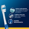 thumbnail image 2 of Cepillo de Dientes Oral-B Indicator con Cerdas Suaves Inteligentes, 3 pzas, 2 of 5