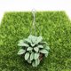 thumbnail image 4 of Mini casa decorativa decorativa maravillosa hermosa planta adorno encantador 1/12 modelo de bonsai para el balcón de jardín de hadas doméstico Inevent FN001979-00, 4 of 5