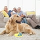 thumbnail image 5 of Juguete para perros con chirrido, diseño de pantuflas, juguete para perros con forma de zapato interesante, juguete interactivo para perros, juguete para limpiar los dientes., 5 of 6