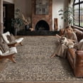 thumbnail image 3 of BERTHMEER 6'x9' Washable Area Rugs for Living Room Vintage Brown Kitchen Rugs for Bedroom Non Slip Carpets Home Office Farmhouse Dorm Dining Room Oriental Traditional Distressed Rugs, 3 of 9