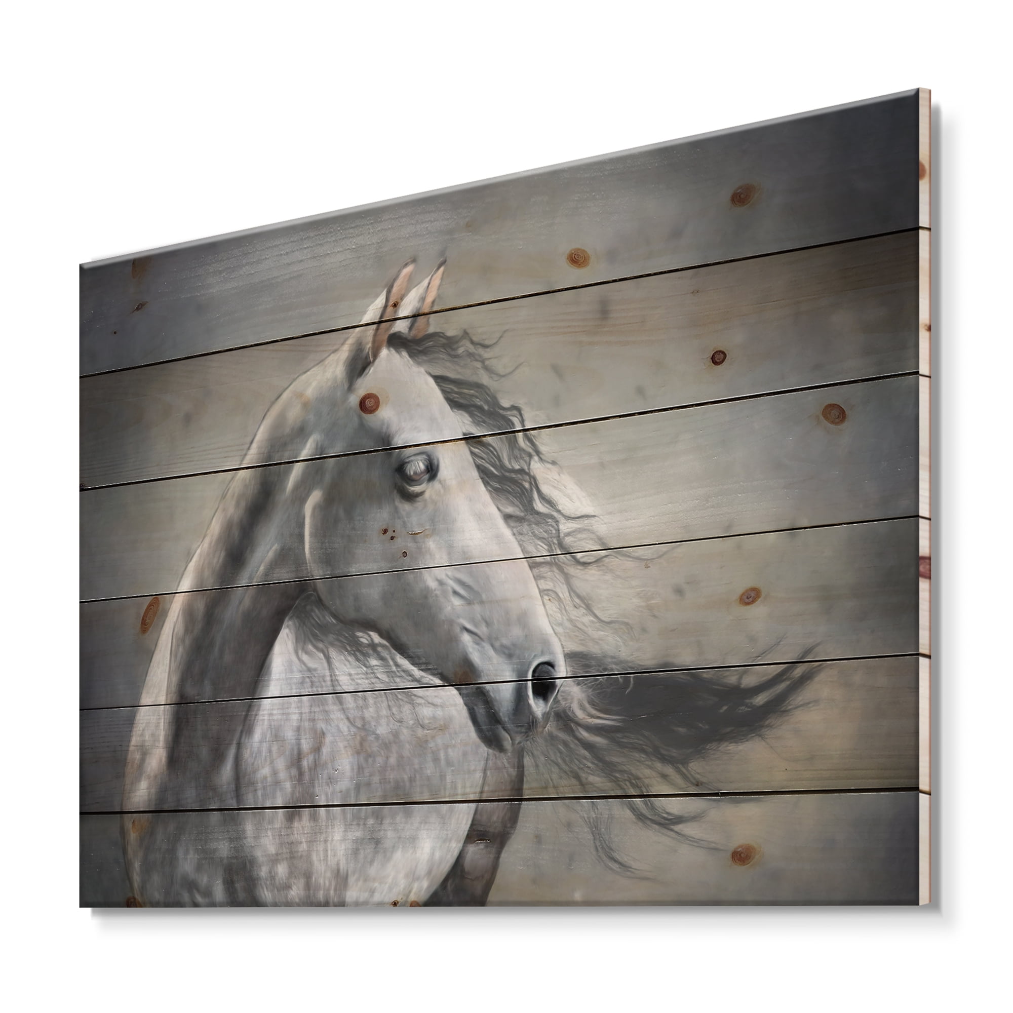 Designart 'Black and White Portrait Of A Wild Horse' Farmhouse Print on Natural Pine Wood