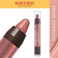 thumbnail image 1 of Burt’s Bees 100% Natural Gloss Lip Crayon, 1 of 2