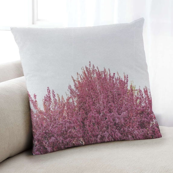 Ahgly Company State Minnesota Indoor Throw Pillow, 18 inch by 18 inch