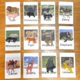 thumbnail image 3 of Montessori Animal Matching Toy Miniature Figurines For Educational Toys Toy E2R1, 3 of 9