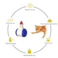 thumbnail image 5 of Jouet laser Interactif pour Chat d'Intérieur, Jouet laser Automatique pour Chat USB, 5 of 5