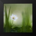 thumbnail image 2 of Haaksma, Piet 20x20 Black Modern Framed Museum Art Print Titled - Alone........., 2 of 5