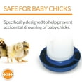 thumbnail image 3 of K&H Pet Products Chick Saver Poultry Waterers, Black, 3 of 6