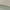 Bone / Vintage Green / Trek Green, variant on Reebok Adult Mens Energen Plus 2 Running Athletic