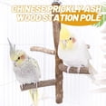 thumbnail image 5 of SS Organic Natural Wood Bird Perch Stand, Hanging Multi Branch Perch for Cage, Parrots, Parakeets Cockatiels, Conures, Macaws, Love Birds, Finches Bird Toys, 5 of 5